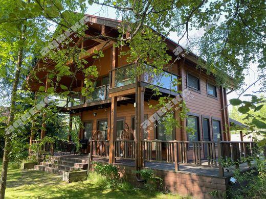 Luxury home in Ovsyanoye, Leningrad