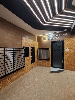 Apartment in Saint-Petersburg, Sankt-Peterburg