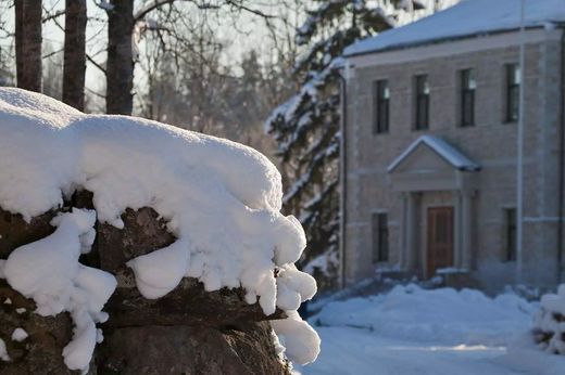 Luxury home in Mel'nikovo, Leningrad