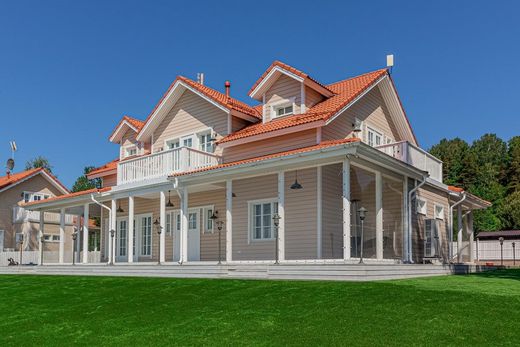 Maison de luxe à Peski, Leningrad Oblast