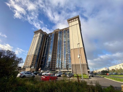 Apartment in Saint-Petersburg, Sankt-Peterburg