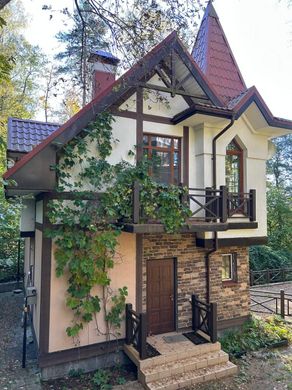 Luxury home in Peski, Leningrad