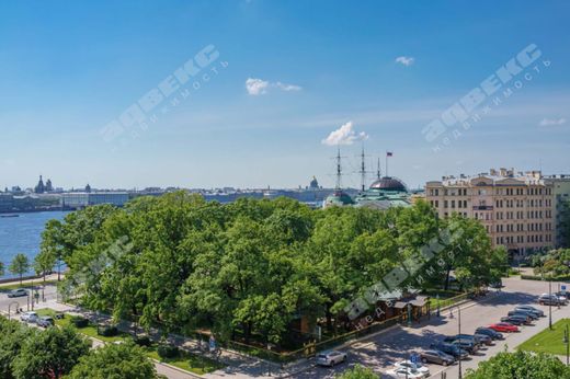 Apartment in Saint-Petersburg, Sankt-Peterburg