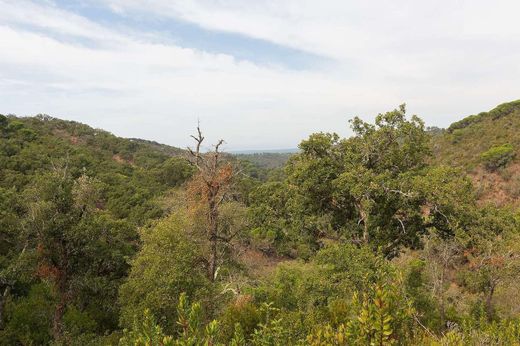 ‏בתים כפריים או חוות ב  Santiago do Cacém, Distrito de Setúbal