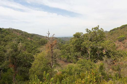 Boerderij in Santiago do Cacém, Distrito de Setúbal