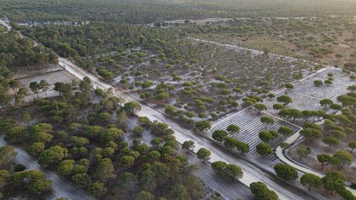 ‏קרקע ב  Grândola, Distrito de Setúbal