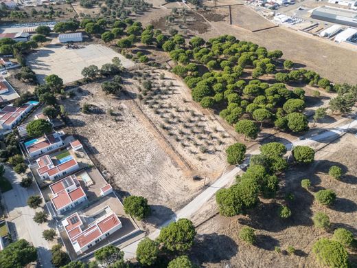 Land in Alcácer do Sal, Distrito de Setúbal