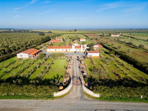 Demeure ou Maison de Campagne à Ferreira do Alentejo, Distrito de Beja