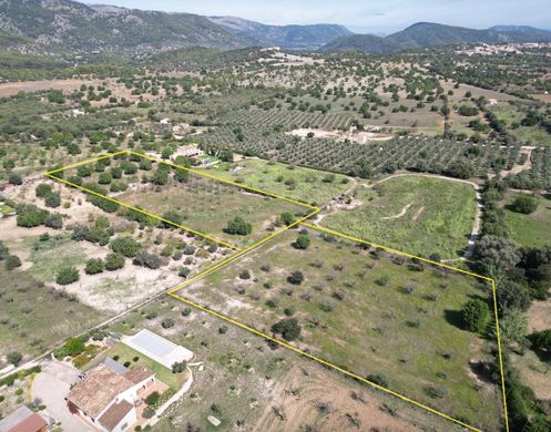 Αγροτεμάχιο σε Selva, Illes Balears