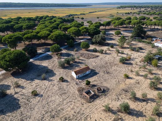 Alcácer do Sal, Distrito de Setúbalの土地