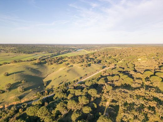 Land in Alcácer do Sal, Distrito de Setúbal