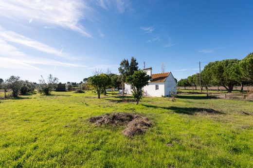 Arsa Grândola, Distrito de Setúbal