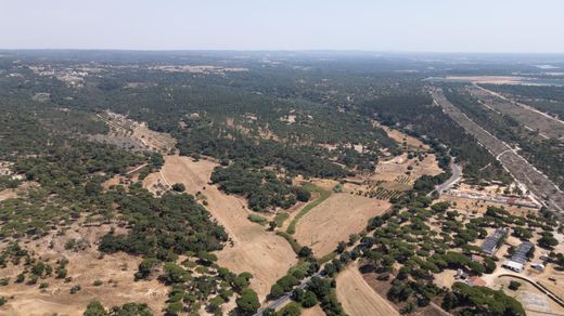 Land in Grândola, Distrito de Setúbal
