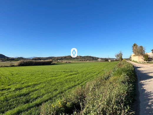 Land in Montuïri, Province of Balearic Islands