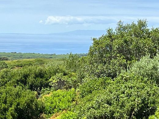 Terrain à Sesimbra, Distrito de Setúbal