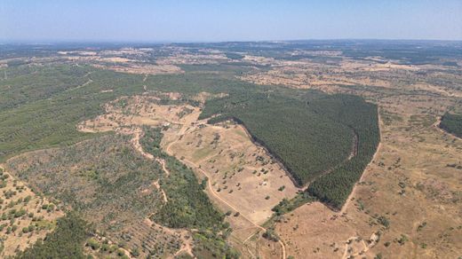 Land in Santiago do Cacém, Distrito de Setúbal