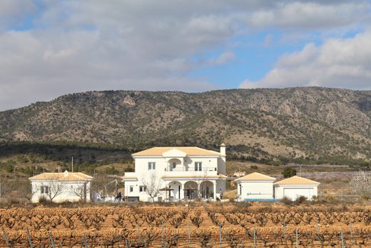 Villa in Pinoso, Provincia de Alicante