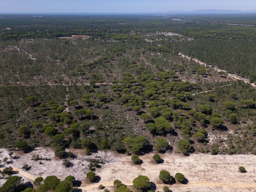 Land in Grândola, Distrito de Setúbal