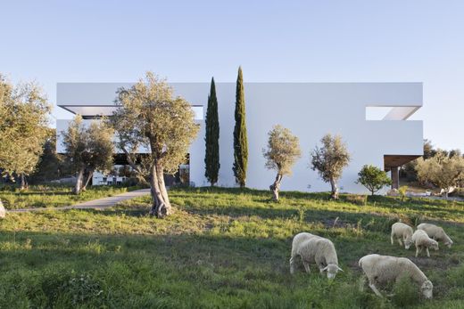 Rural or Farmhouse in Arraiolos, Distrito de Évora