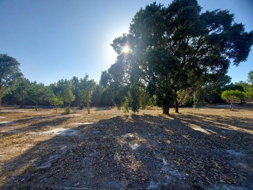 Terreno a Santiago do Cacém, Distrito de Setúbal