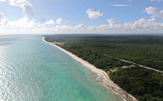 Αγροτεμάχιο σε Mangrove Cay