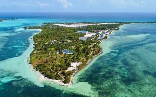جزيرة ﻓﻲ Chub Cay, Berry Islands District