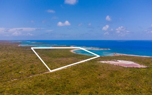 Teren w Gordon’s, Long Island