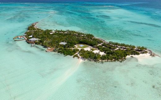 Île à Mangrove Cay