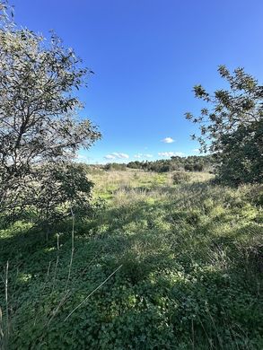 Αγροτεμάχιο σε Ιμπιζα, Illes Balears