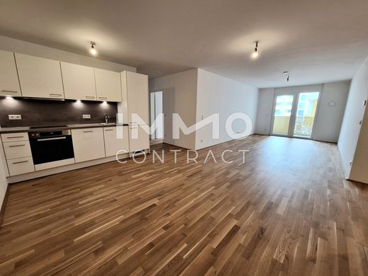 Piso / Apartamento en Gemeindebezirk Donaustadt, Viena