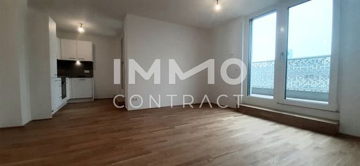 Apartment / Etagenwohnung in Gemeindebezirk Donaustadt, Wien Stadt