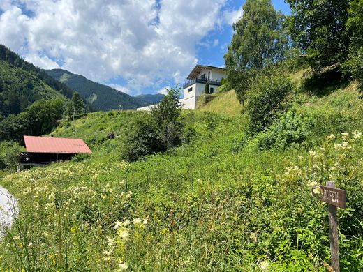 Arsa Viehhofen, Politischer Bezirk Zell am See