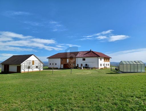 Maison de luxe à Steinzen, Politischer Bezirk Grieskirchen