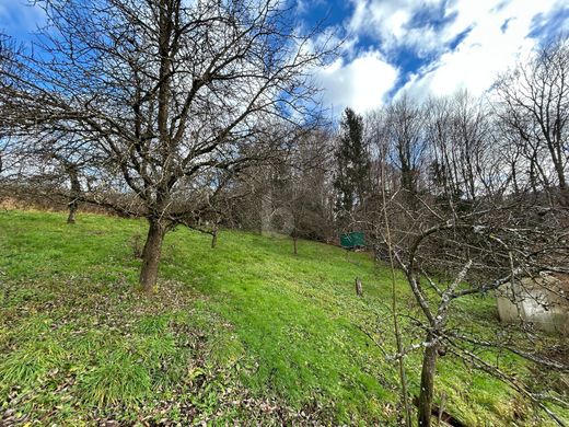 Terreno a Salisburgo, Salisburghese