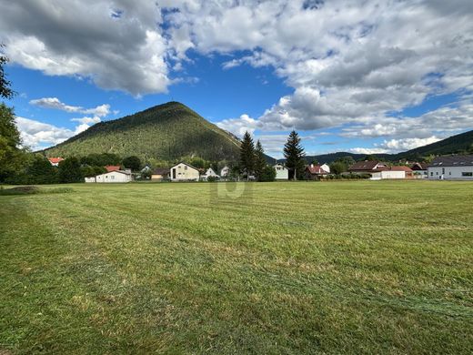 Puchberg am Schneeberg, Politischer Bezirk Neunkirchenの土地