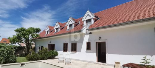 Villa Parndorf, Politischer Bezirk Neusiedl am See
