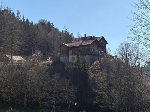 Maison de luxe à Lunz am See, Politischer Bezirk Scheibbs