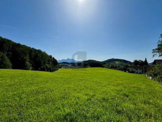 Terreno a Salisburgo, Salisburghese