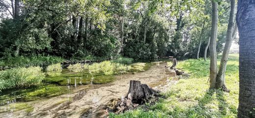 Terreno en Ebenfurth, Politischer Bezirk Wiener Neustadt