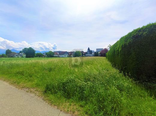 Land in Fußach, Politischer Bezirk Bregenz