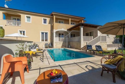 Tinjan, Istriaのヴィラ