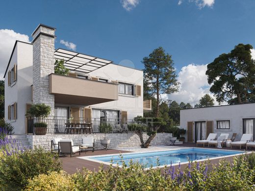 ﻓﻴﻼ ﻓﻲ Vižinada, Općina Vižinada