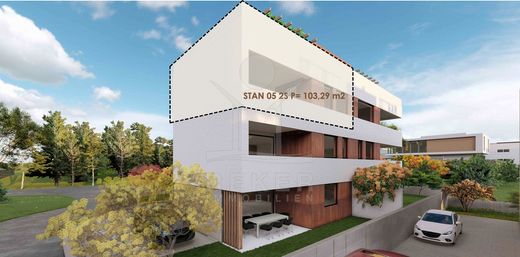 Attico a Zara, Zadar