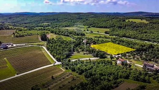 Teren w Momjan, Istria