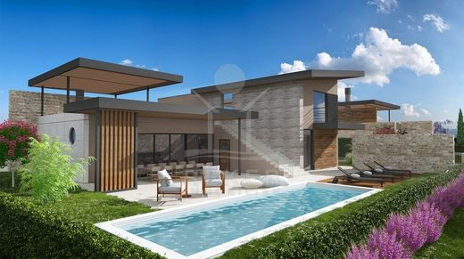 Willa w Vodnjan, Grad Vodnjan