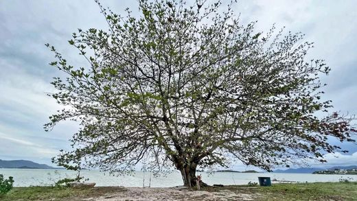 ‏קרקע ב  Ko Samui, Changwat Surat Thani