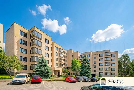 Apartment in Vilnius, Vilnius County