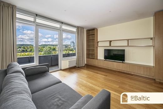 Apartment in Vilnius, Vilnius County