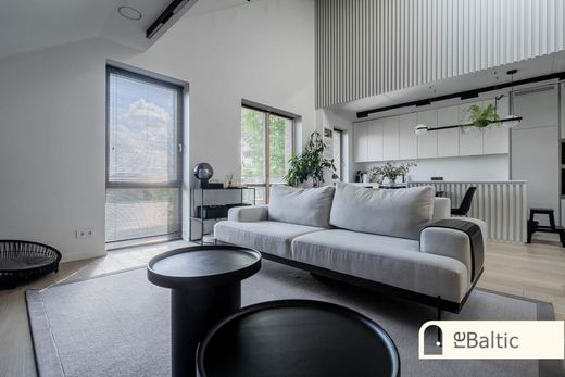 Apartment in Vilnius, Vilnius County