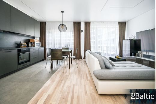 Apartment in Vilnius, Vilnius County